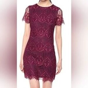 Kensie Women's Purple Lace Sheath Dress Size 6 Short‎ Sleeve Cocktail Party Hoco